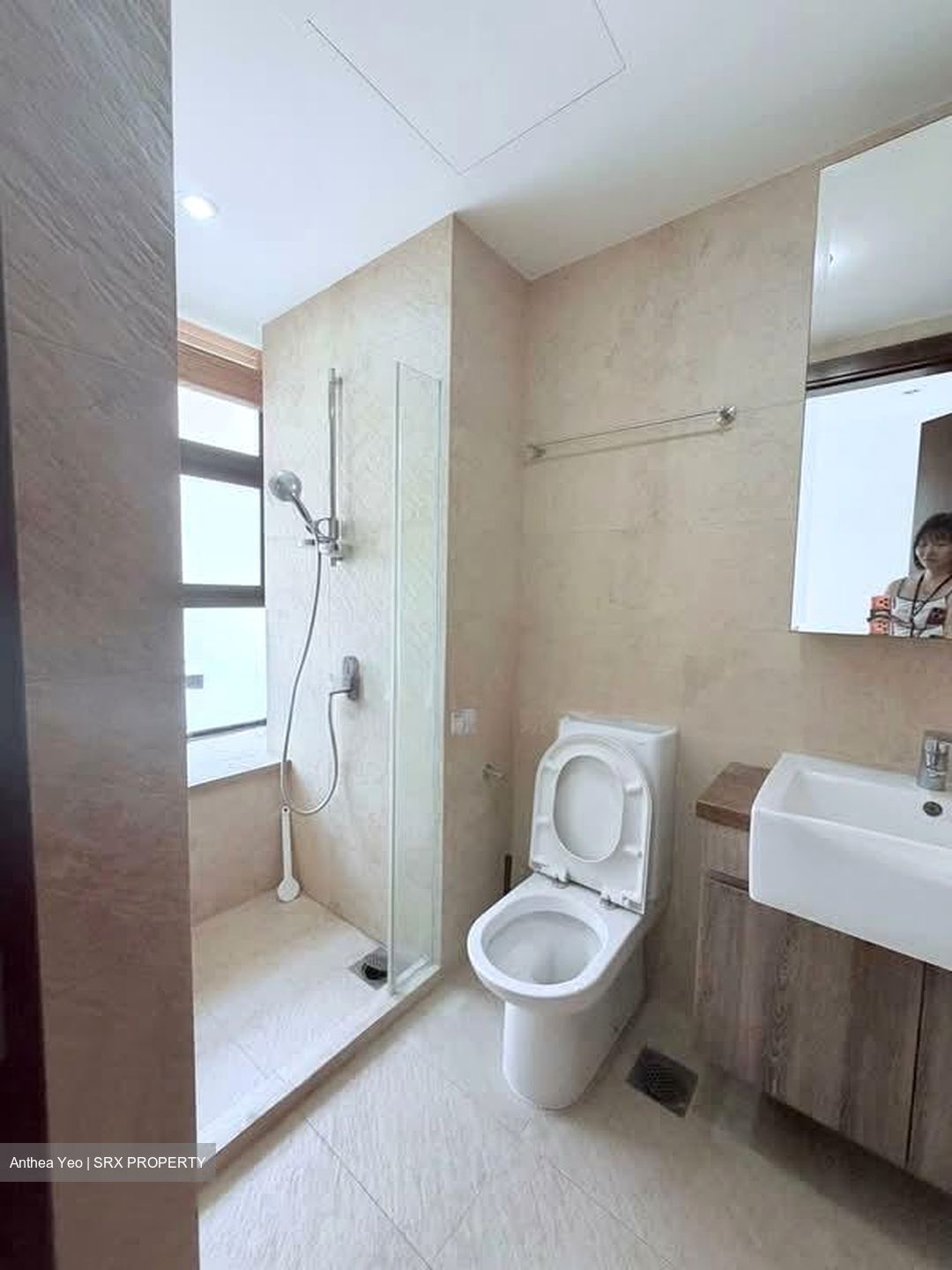 Holland Link (D10), Terrace #554146281